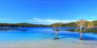 Lake McKenzie - Fraser Island - QLD (PB5D 00 51A1685)